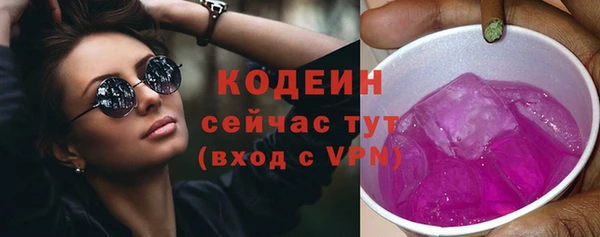 ECSTASY Богданович