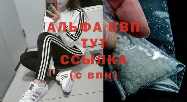 сатива Богородицк